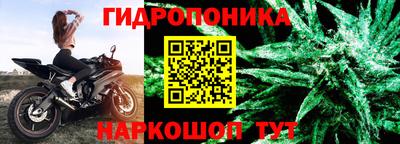стаф Моздок