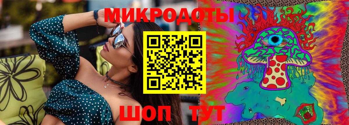 что такое   Вход с VPN  Сертолово  Галлюциногенные грибы Psilocybine cubensis 